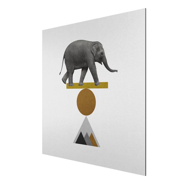 Tableaux modernes Éléphant Art de l'équilibre