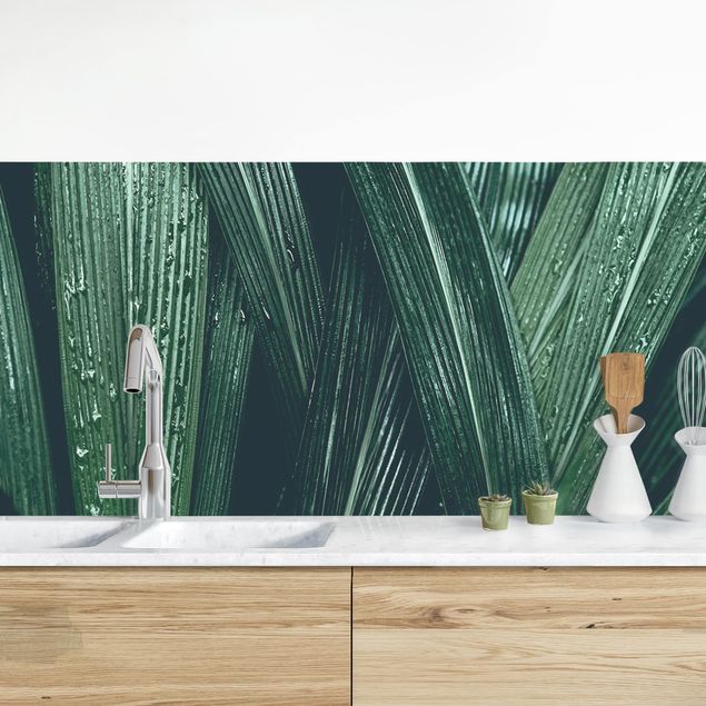 Déco mur cuisine Feuilles de palmier vertes