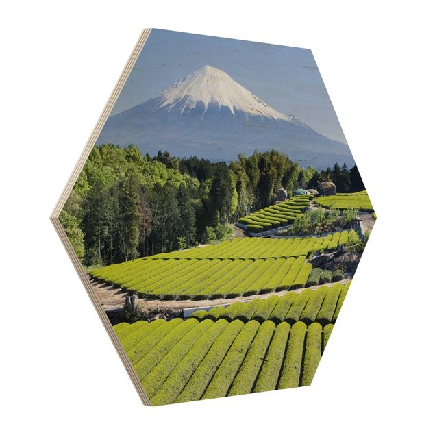 Impression sur bois Champs de thé devant le Fuji