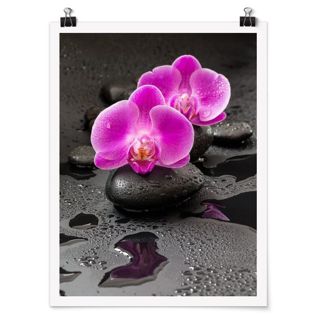 tableaux floraux Fleur Orchidée Rose sur Pierres avec Gouttes