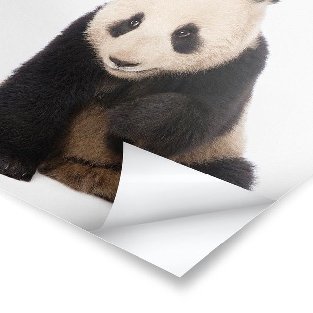 Tableaux muraux Pattes de panda