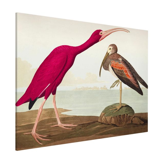 Déco murale cuisine Tableau Vintage Ibis rouge