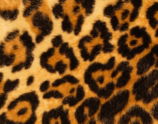 Boite aux lettres marron Peau de jaguar