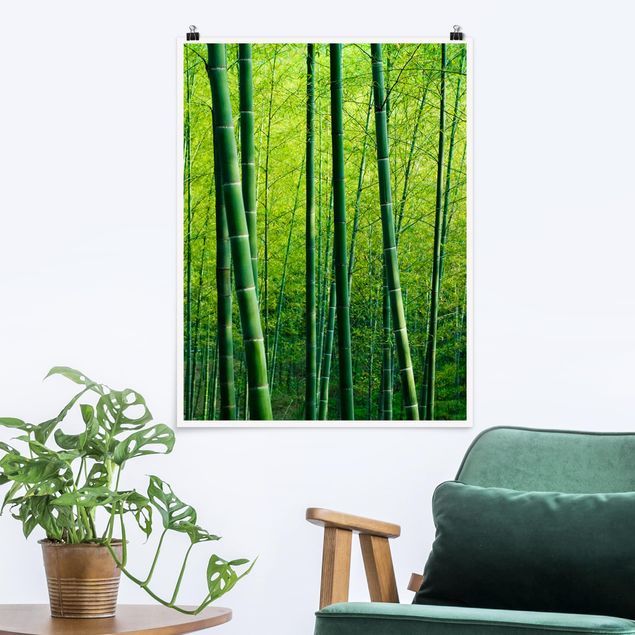 Déco mur cuisine Forêt de bambous