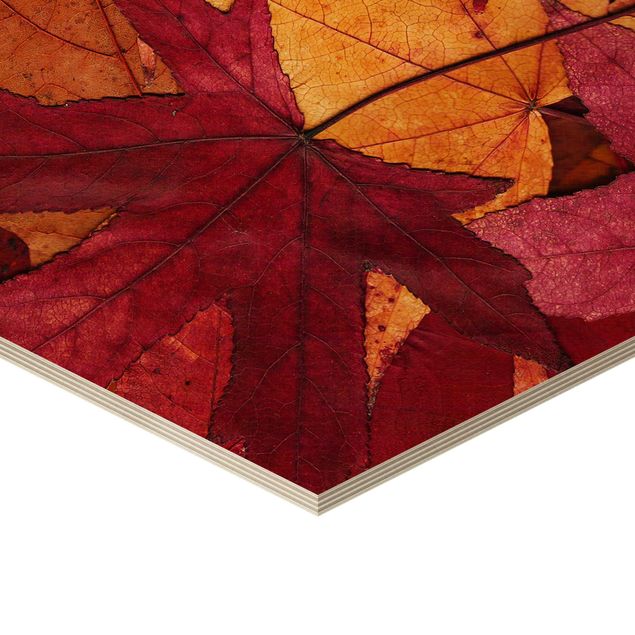 Hexagone en bois - Coloured Leaves