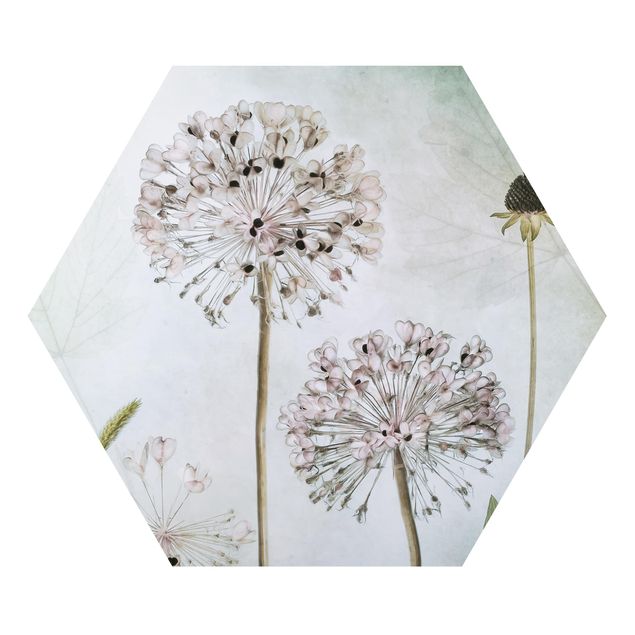 Tableaux muraux Fleurs d'Allium au pastel