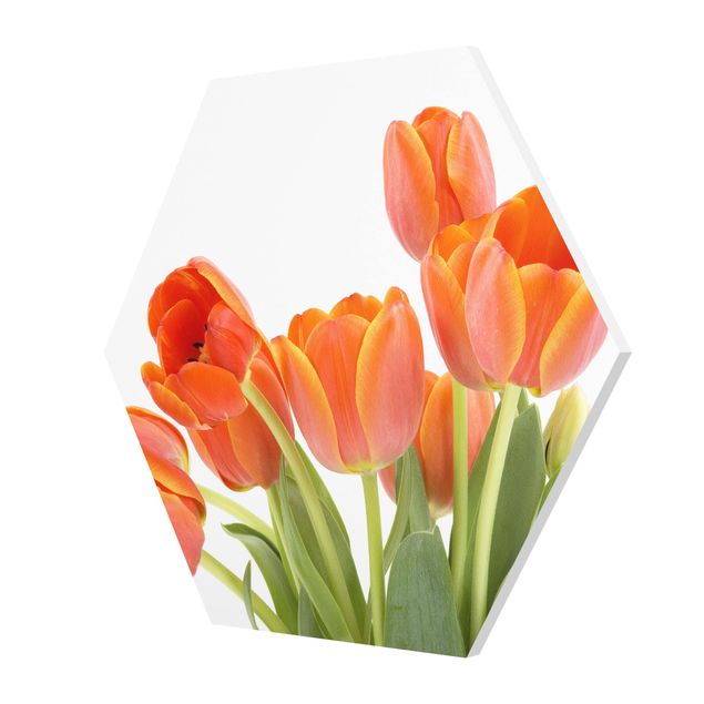 Tableaux muraux No.191 Tulipes