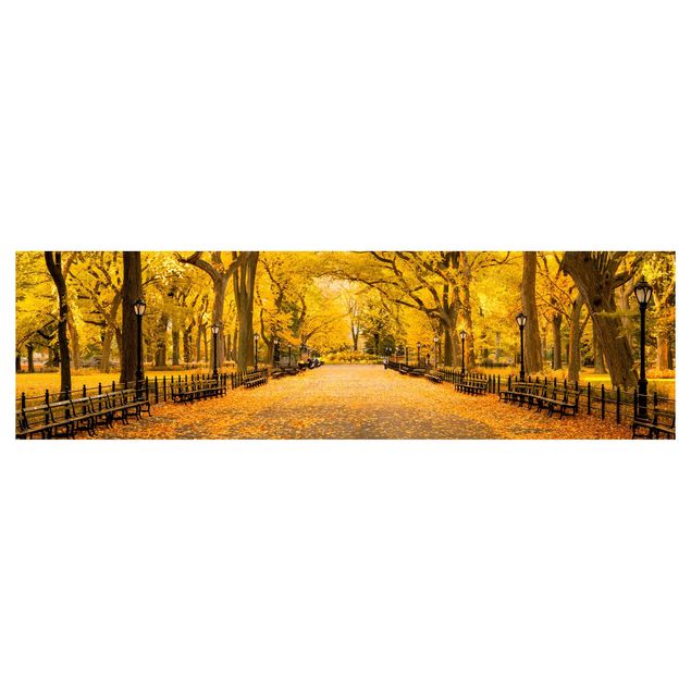 Revêtement mural cuisine - Autumn In Central Park