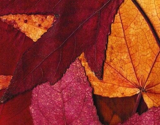 Boite aux lettres - Coloured Leaves