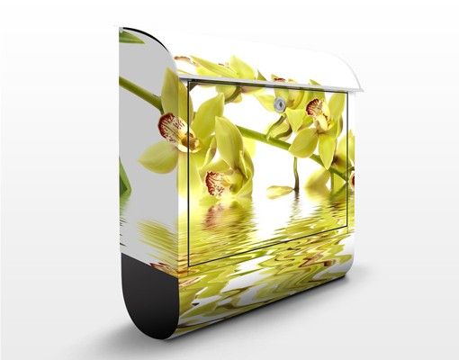 Boite aux lettres avec fleurs Eaux élégantes d'orchidées