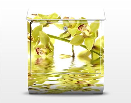 Boite au lettre jaune Eaux élégantes d'orchidées