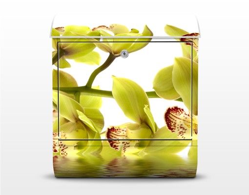 Boites aux lettres Splendide eau d'orchidée