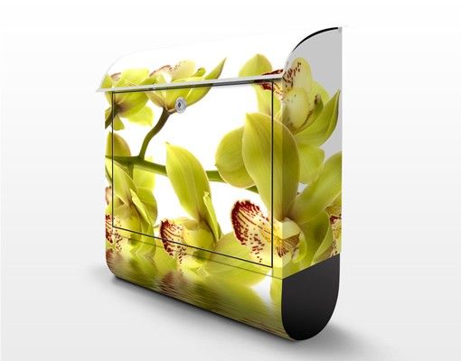 Boite aux lettres - Splendid Orchid Waters