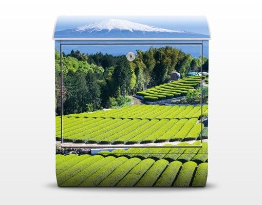 Boite au lettre verte Champs de thé devant le Fuji