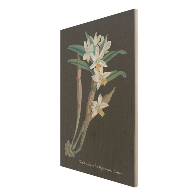 Tableau vintage bois Orchidée blanche sur lin I