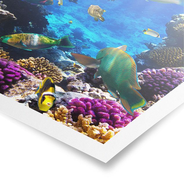 Tableau bord de mer Rêves sous-marins
