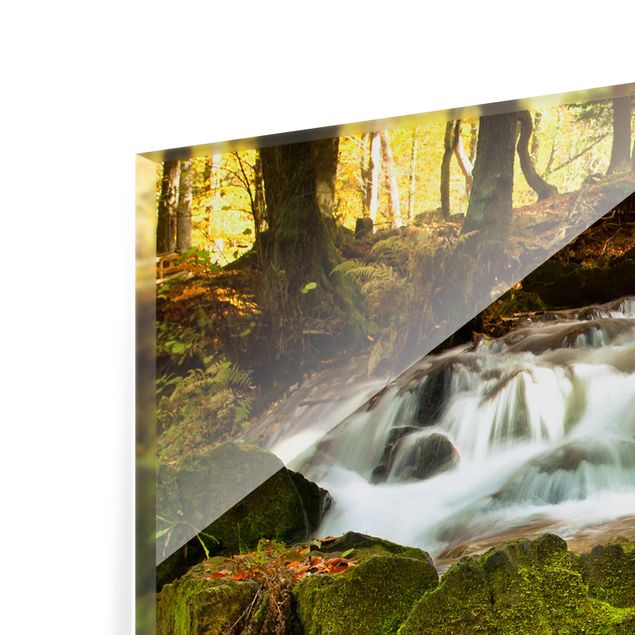 Fond de hotte - Waterfall Autumnal Forest