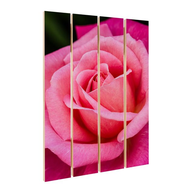 Tableaux en bois Fleurs de rose rose sur fond vert