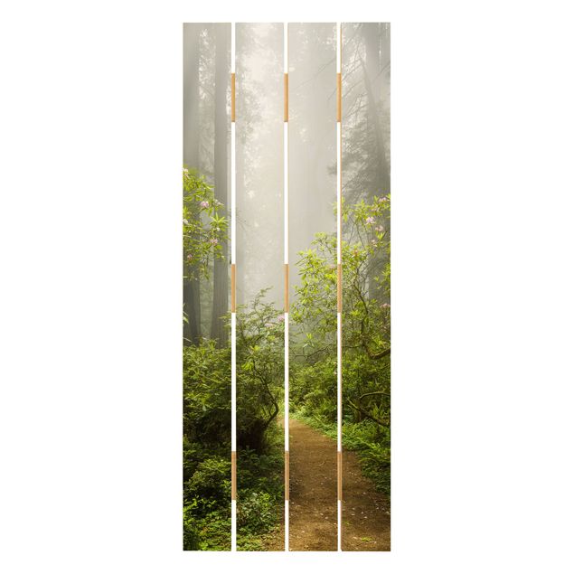 Tableaux Chemin de forêt brumeux