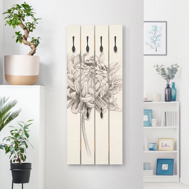 Porte-manteaux muraux avec fleurs Étude botanique Chrysanthème I