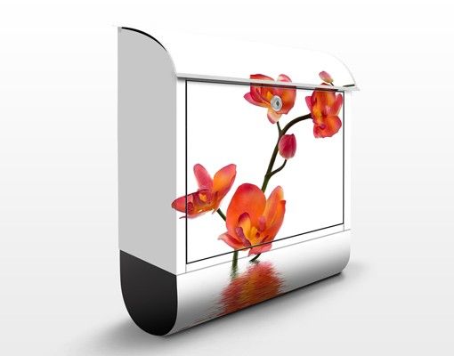 Boite aux lettres avec fleurs Eaux flamboyantes d'orchidées
