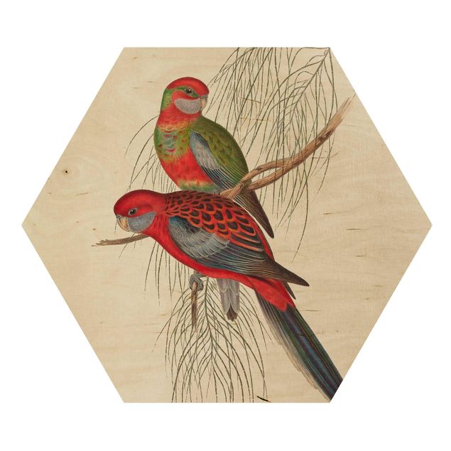 Impression sur bois Tropical Parrot III