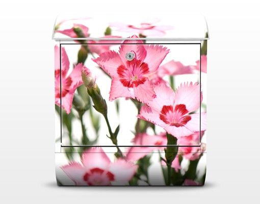 Boite aux lettres rose Pink Flowers