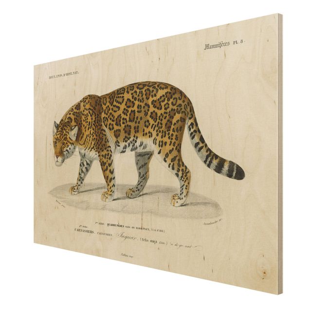 Tableaux Tableau Botanique Jaguar