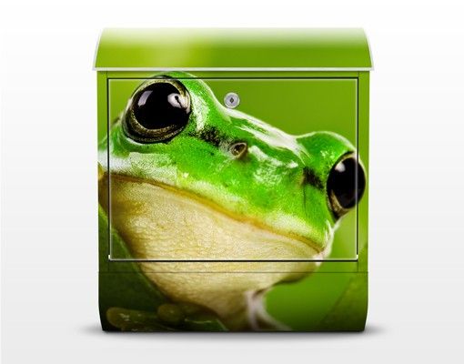 Boite au lettre verte Frog