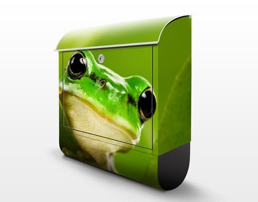 boite aux lettres moderne Frog