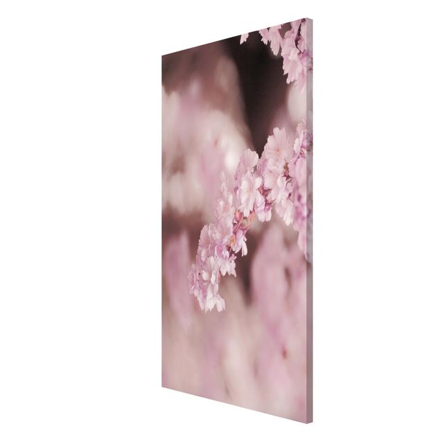 Tableau moderne Fleurs de cerisier dans une lumière violette