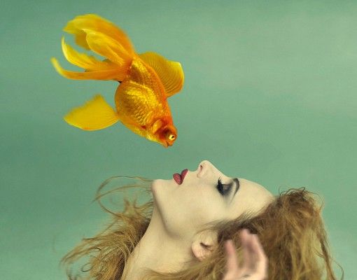 Boite aux lettres - Kiss Of A Goldfish