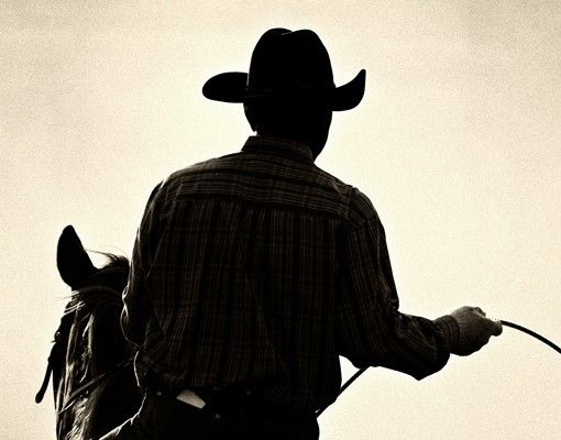 Boite aux lettres - Riding Cowboy