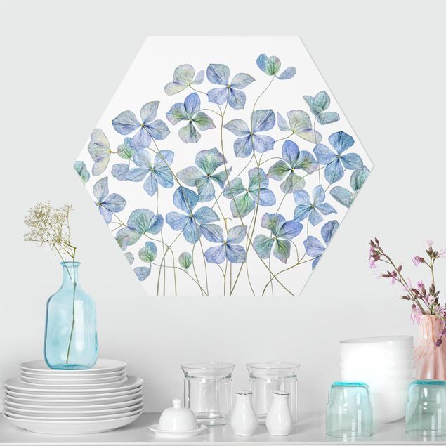 Tableaux moderne Fleurs d'hortensia bleues