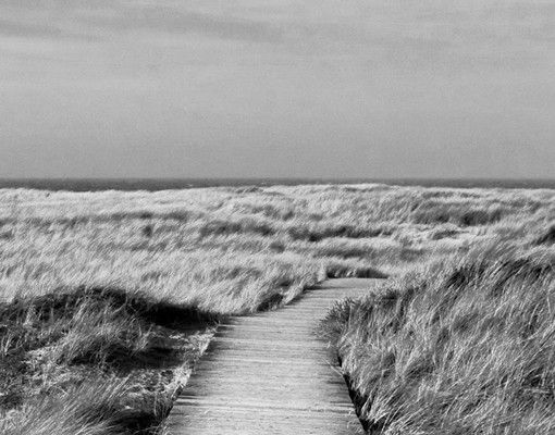 Boite aux lettres - Dune Path On Sylt II