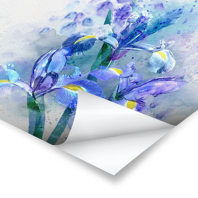 Tableau décoration Aquarelle Fleurs Iris