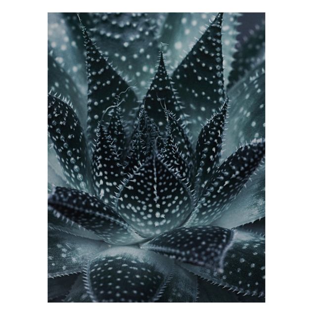 Tableaux magnétiques avec fleurs Cactus saupoudré de la lumière des étoiles la nuit