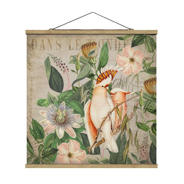 Tableaux vintage Colonial Style Collage - Galah