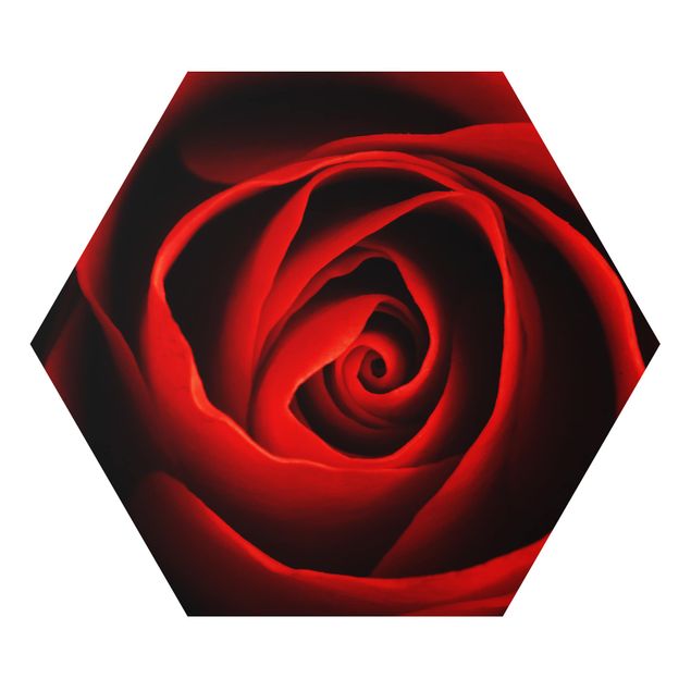 Tableau rouge Belle Rose