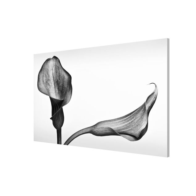 Tableau moderne Gros plan de Calla Noir Et Blanc