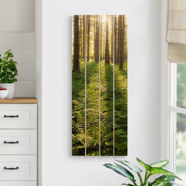 Tableaux en bois avec paysage Rayons de soleil dans une forêt verte