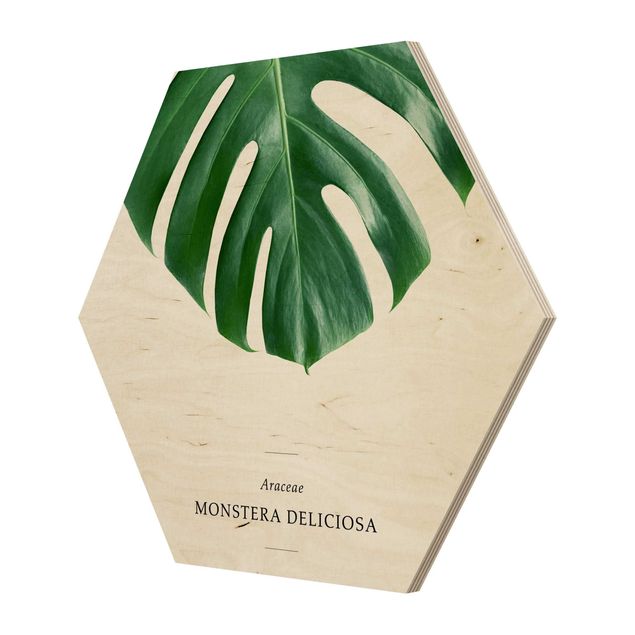 Hexagone en bois - Tropical Leaf Monstera