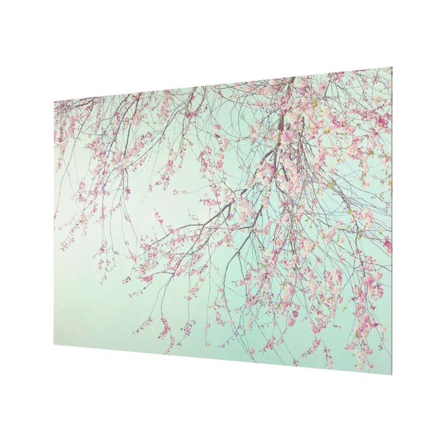 Fonds de hotte - Cherry Blossom Yearning - Format paysage 4:3