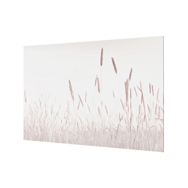 Fonds de hotte - Summerly Reed Grass - Format paysage 3:2
