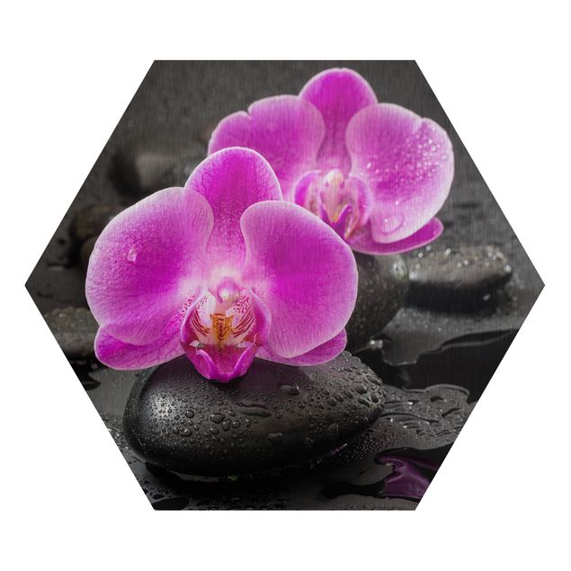 Tableau spirituel Fleur Orchidée Rose sur Pierres avec Gouttes