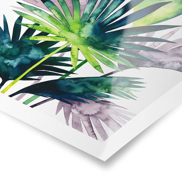 Tableaux Feuillage exotique - Fan Palm
