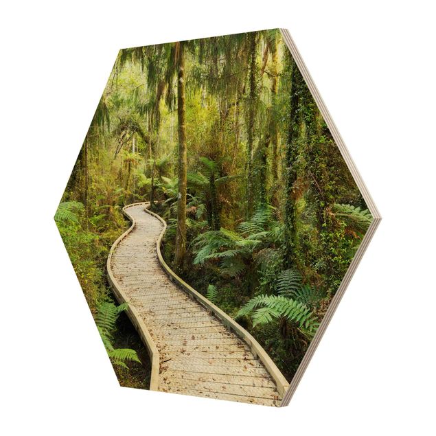 Hexagone en bois - Path In The Jungle