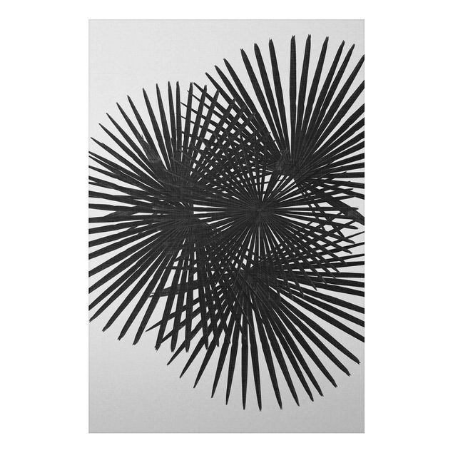 Tableaux moderne Feuilles de palmier en noir et blanc