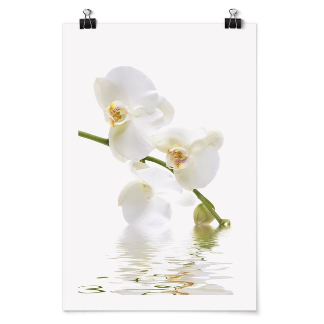 Tableau fleurs Eaux de l'Orchidée Blanche