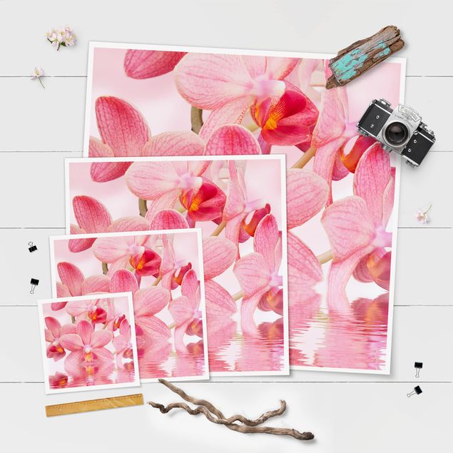 Posters Orchidée rose clair sur l'eau